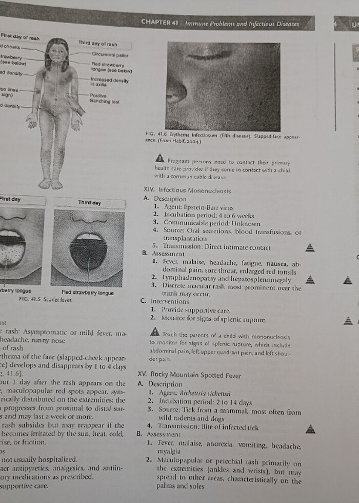 NCLEX Hemşirelik  Kitap Sınav - Görsel 2