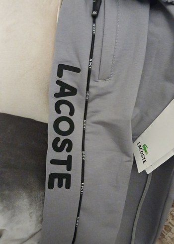 Gri Lacoste Erkek Eşofman Altı - Görsel 8