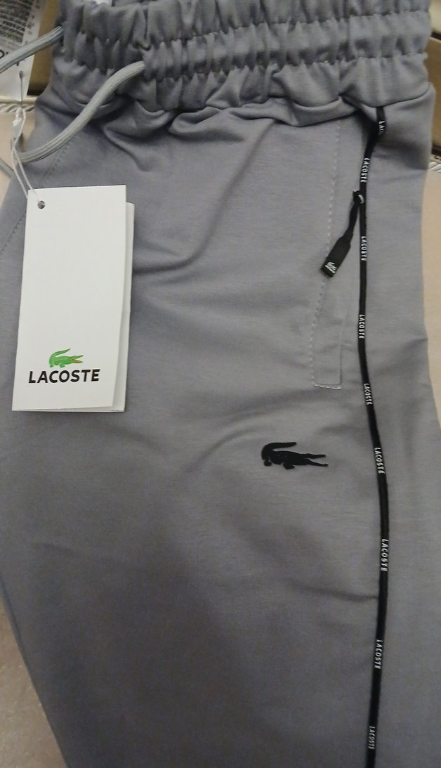 Gri Lacoste Erkek Eşofman Altı - Görsel 2