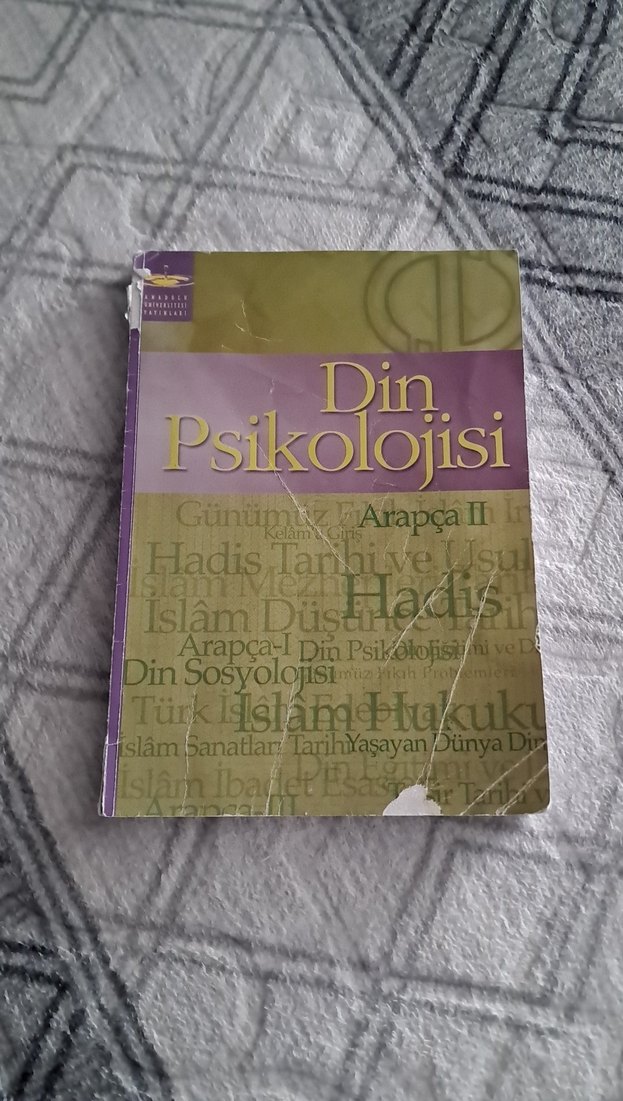 Din Psikolojisi Kitabı - ilahiyat kitabi - Görsel 3