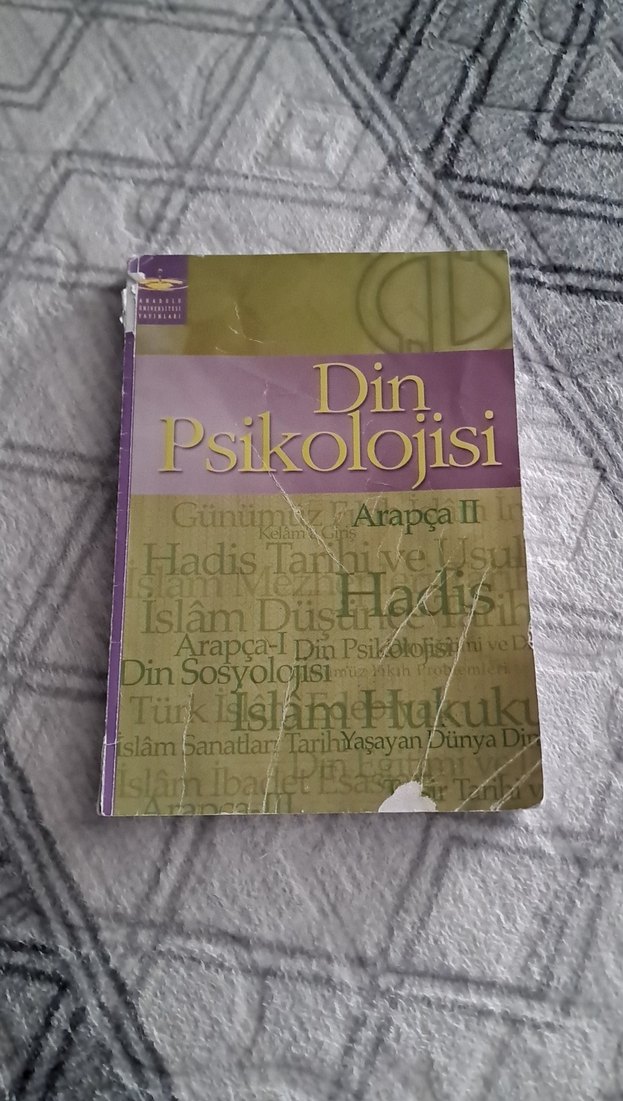 Din Psikolojisi Kitabı - ilahiyat kitabi - Görsel 2