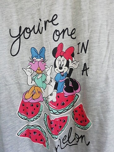 Walt Disney World Disney tshirt 