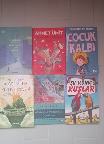 Çocuk Kitapları 