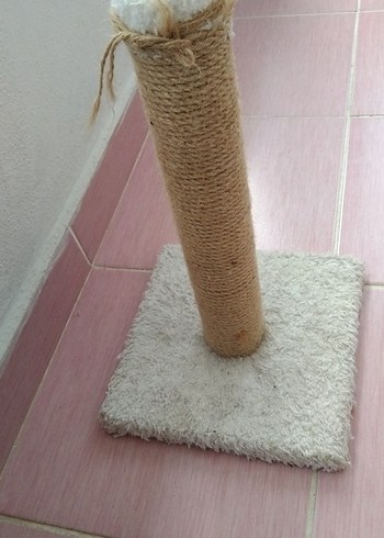 Bej Kedi Tırmalama Direği - Görsel 3