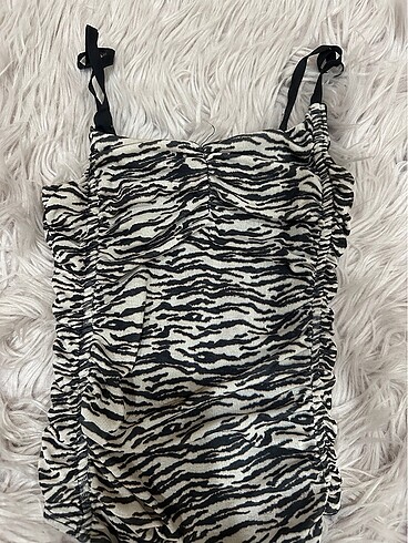 zebra body