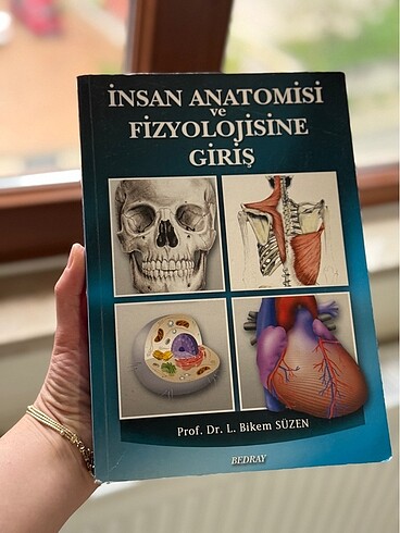 Anatomi kitabı