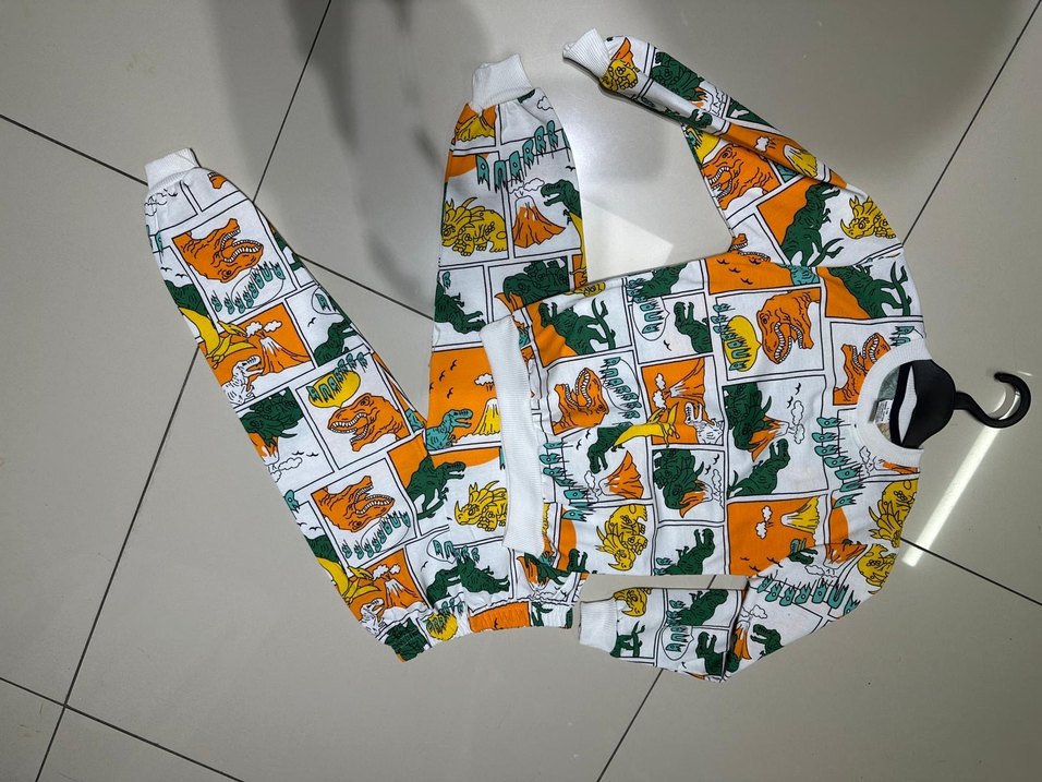 Renkli Dinozor Desenli çocuk Takım - Görsel 2