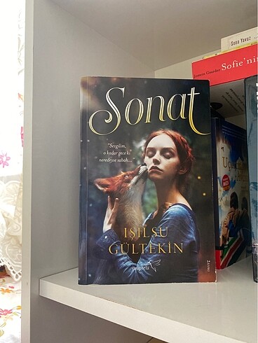 Sonat kitap
