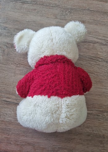 Ayıcık - Görsel 3