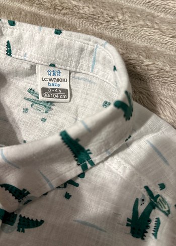 Düğmeli Kısa Kollu Erkek Gömlek - Görsel 2