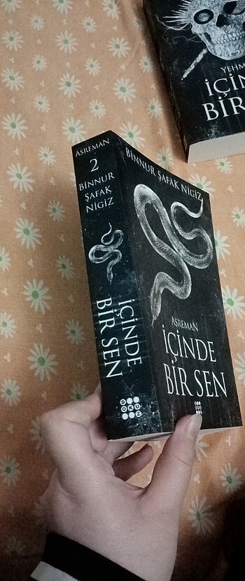  Binnur Şafak Nigiz - İçinde Bir Sen, Asreman
