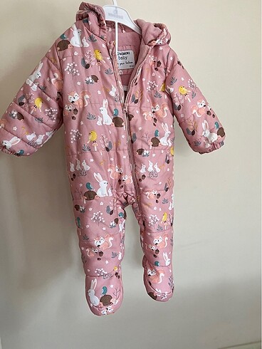 Astronot mont