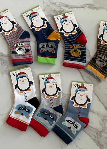 Erkek Çoraplar - Görsel 2