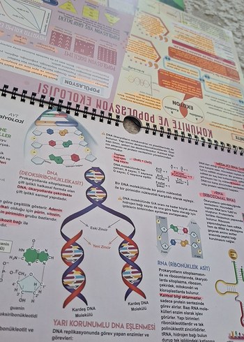 Beden KR akademi AYT Poster Notlar Seti: Kimya, Fizik, Biyoloji