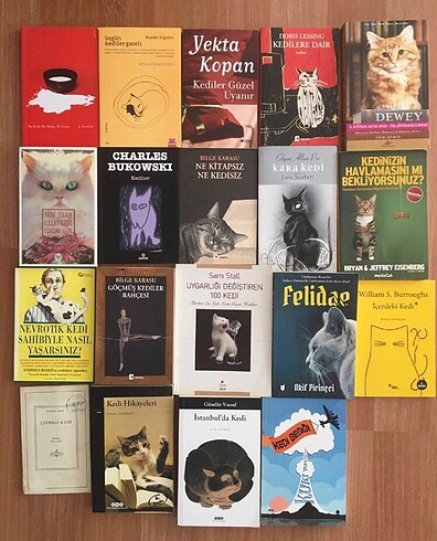Kedi Kitapları
