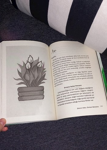 Shinrin-Yoku Orman Banyosu - Doğanın Şifası - Görsel 2