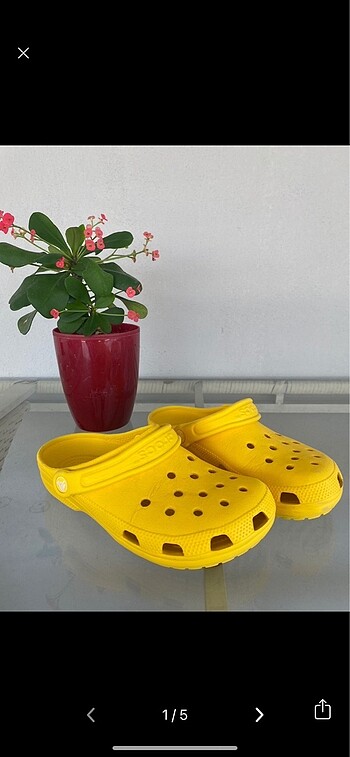 Crocs