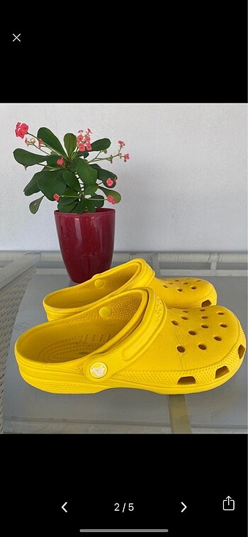 Crocs Crocs