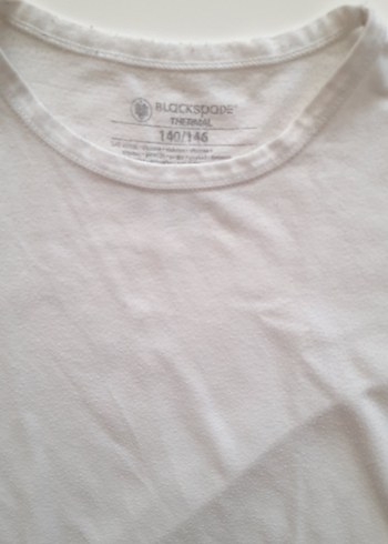 termal fanila - Görsel 2