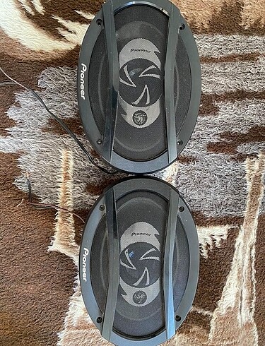 Pioneer hapörlör