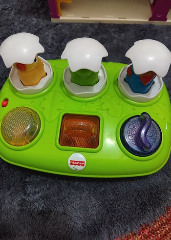 Fisher Price Fisher-Price Yeşil Eğitici Oyuncak