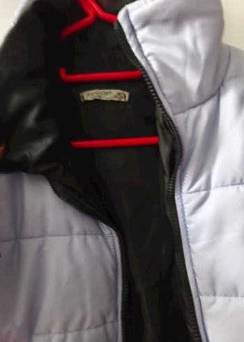 Gri Kısa Kadın Kışlık Mont - Görsel 2