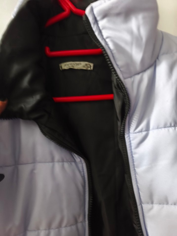 Gri Kısa Kadın Kışlık Mont - Görsel 2