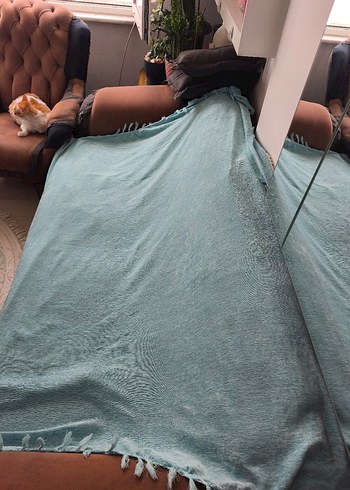 koltuk örtüsü - Görsel 2