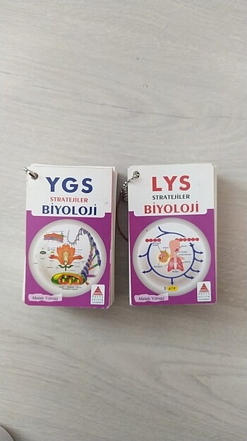 Tyt Ayt Biyoloji Not Kartları