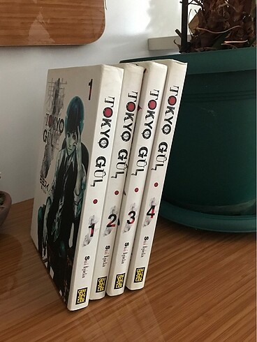 Tokyo Gûl 1,2,3 ve 4. kitap