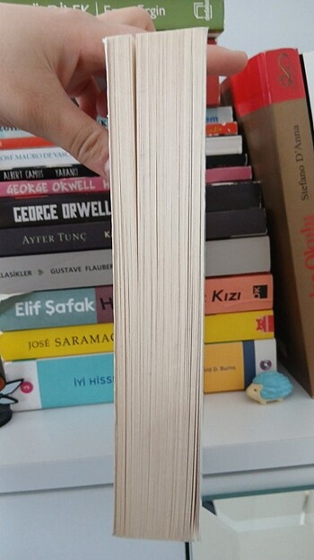  Beden Renk Stefan zweig