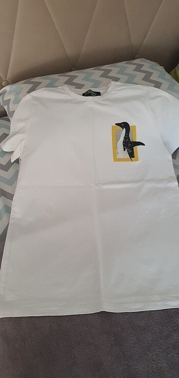 Erkek çocuk tişört - Görsel 2