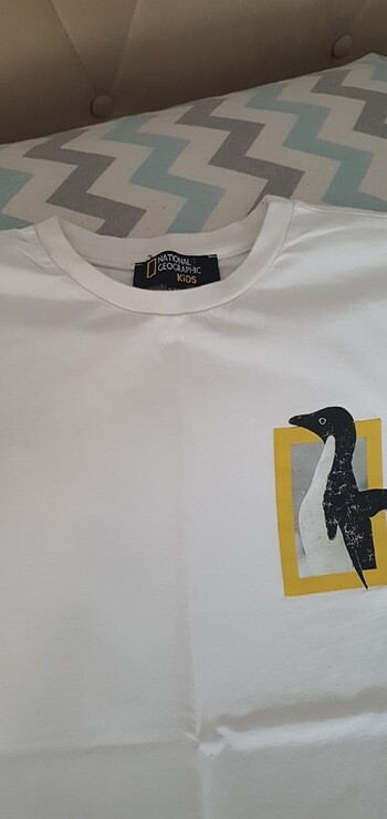 Erkek çocuk tişört - Görsel 3