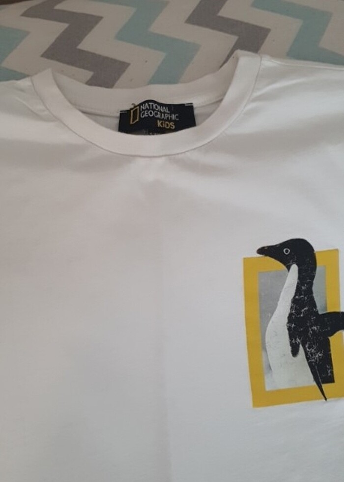 Erkek çocuk tişört - Görsel 3