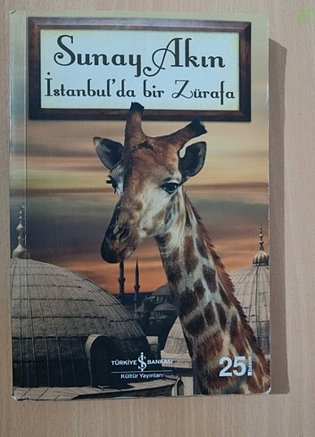 İstanbul'da Bir Zürafa 
