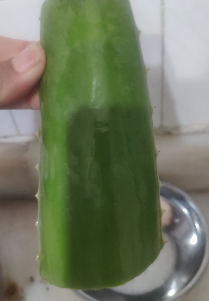 Koyu Yeşil Aloe Vera Bitkisi yaprağı - Görsel 5