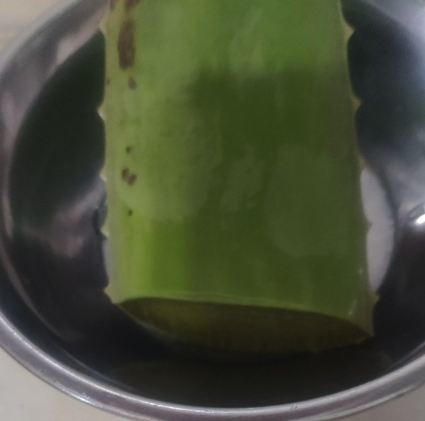 Koyu Yeşil Aloe Vera Bitkisi yaprağı - Görsel 4