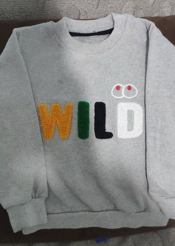 Erkek Çocuk Gri Sweatshirt Uzun Kollu - Görsel 2