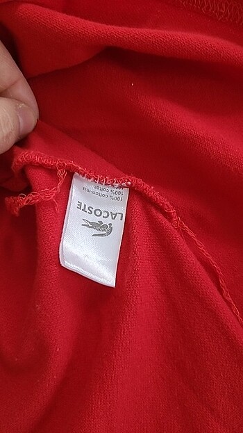 m Beden Lacoste Elbise