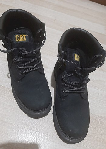 Cat 40
