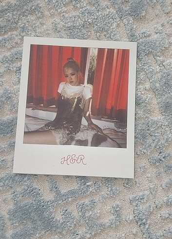 Rose pola