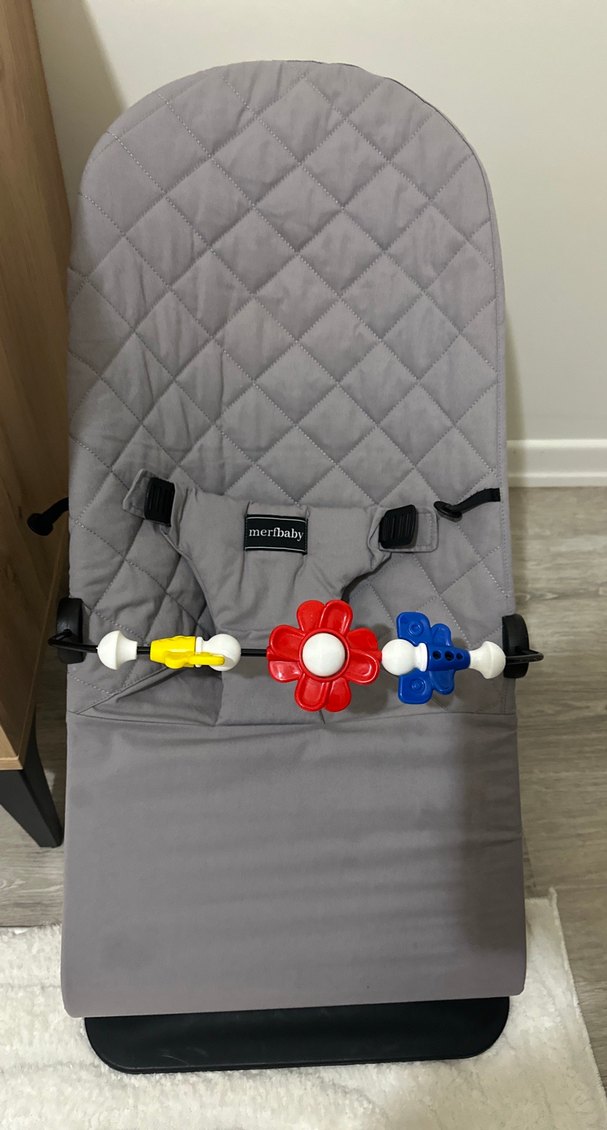 Gri Bebek ana kucağı - Görsel 2