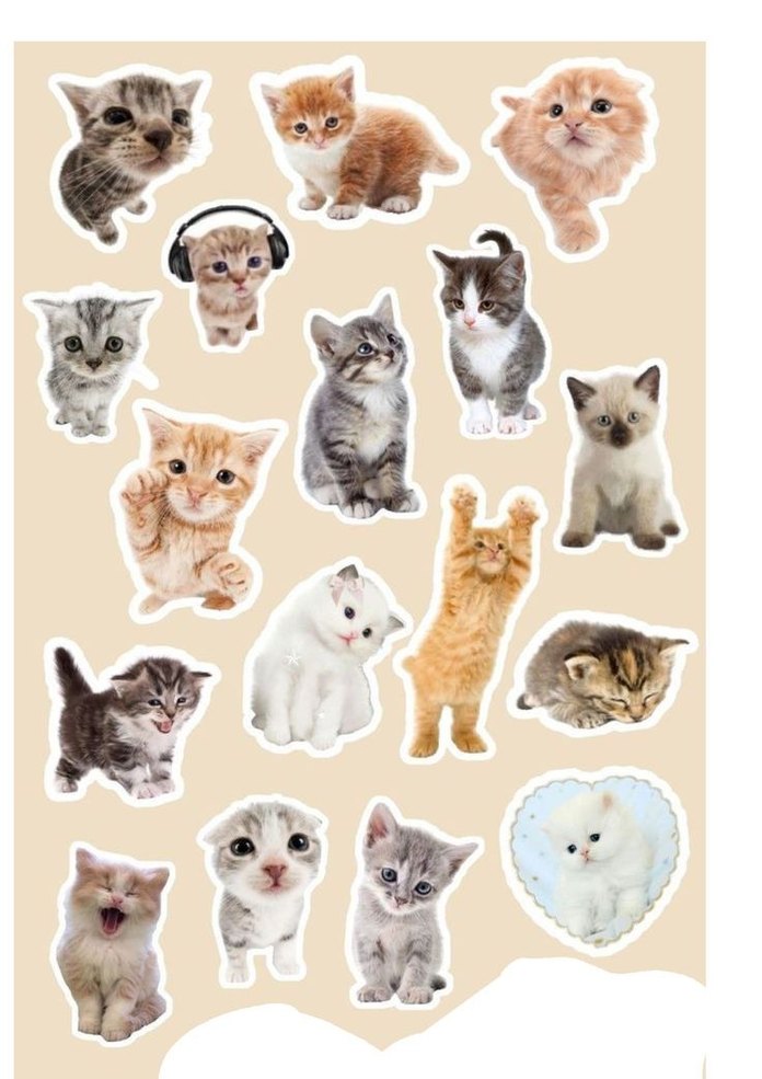 3'lü Pastel Kahverengi Kedi stickerleri - Görsel 3