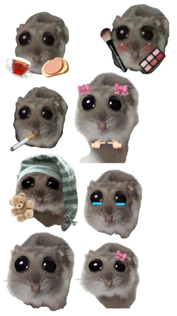 89'lu Pastel Pembe Kedi Temalı Stickerler - Görsel 4