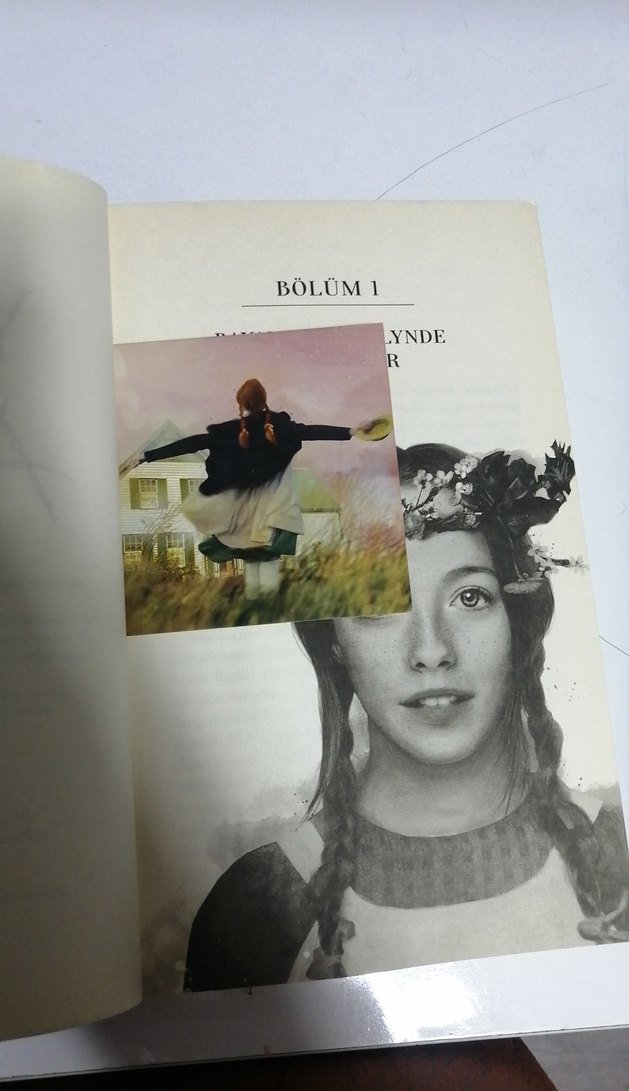 Yeşilin Kızı Anne - L.M. Montgomery - Görsel 3