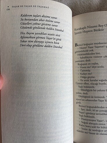  Beden Renk Yaşar ne yaşar ne yaşamaz