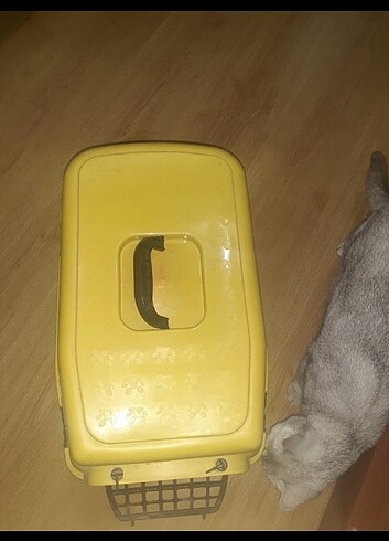  kedi taşıma çantası 
