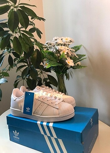 Adidas super star