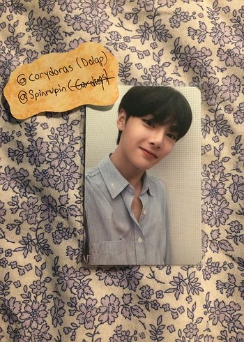 Jeongin pc skz
