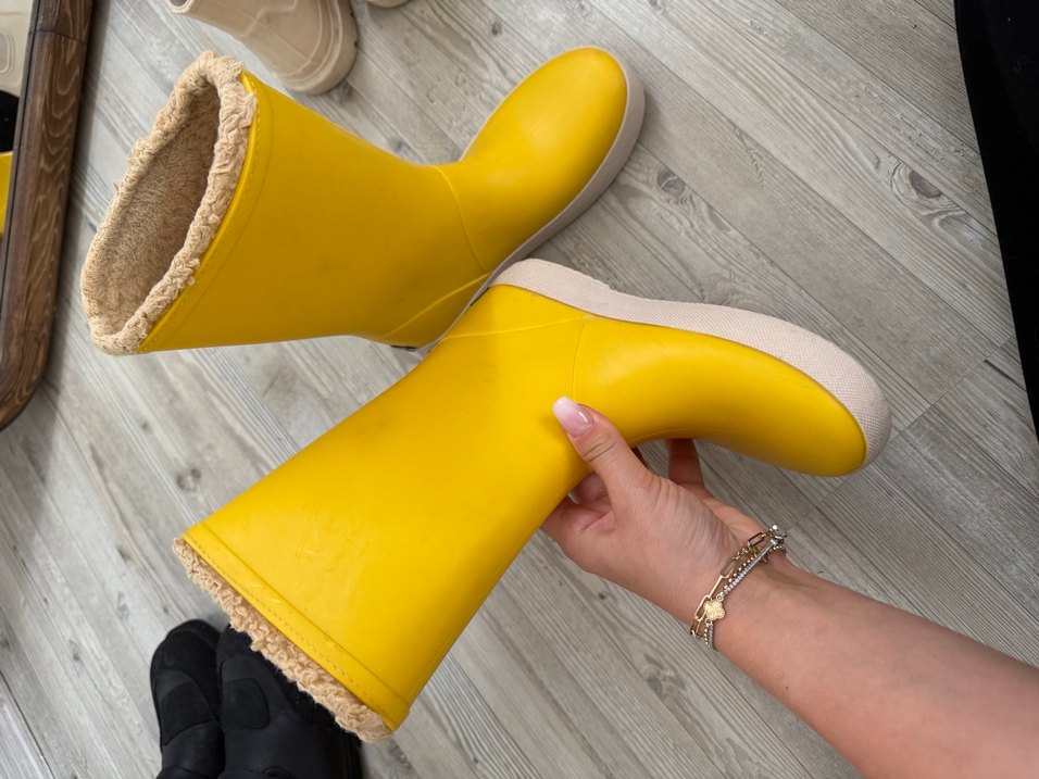 Sarı igor - Görsel 2